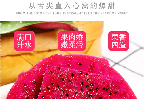 金都一號蜜寶紅心火龍果 現摘新鮮，甜蜜直達